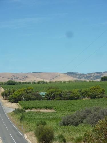 Amande Bed And Breakfast Mclaren Vale Ngoại thất bức ảnh